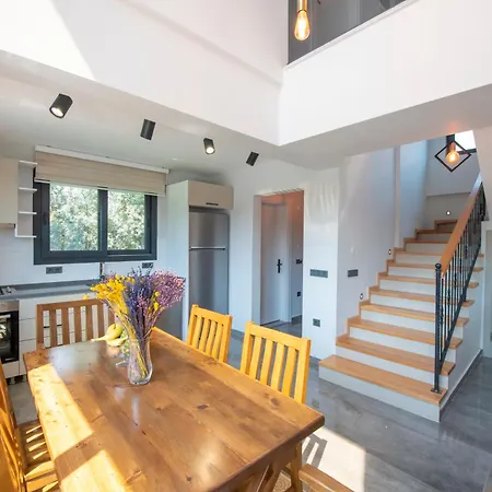 Carya Oeluedeniz Villa *