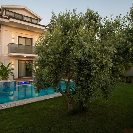 Carya Oeluedeniz Fethiye