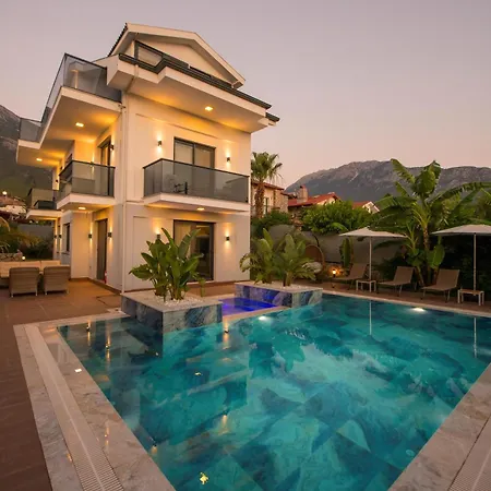 Carya Oeluedeniz Villa *